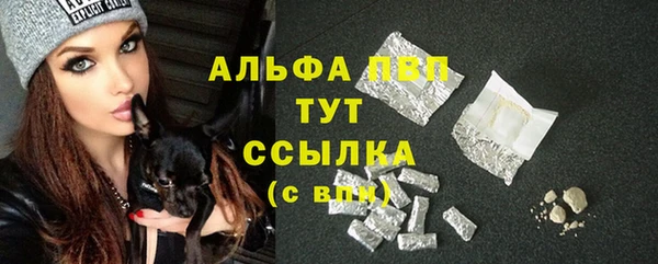 винт Алексин