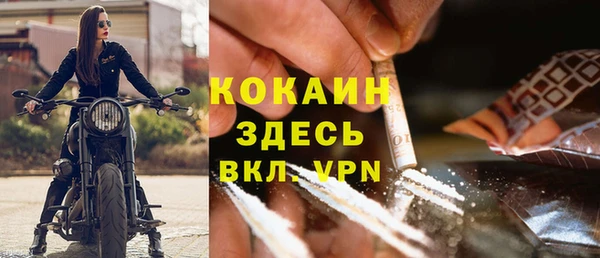 винт Алексин